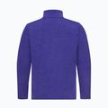 Férfi polár pulóver Jack Wolfskin Trail Half Zip glow ink 5