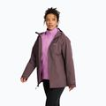 Női 3 az 1-ben kabát Jack Wolfskin Moonrise 2 3IN1 sheer plum 4
