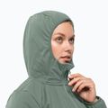 Női softshell dzseki Jack Wolfskin Bornberg Hoody zöld 1307691 3