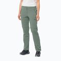 Női szoftshell nadrág Jack Wolfskin Glastal Zip Off zöld 1508151_4151_042