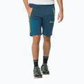 Férfi softshell nadrágJack Wolfskin Glastal Zip Away navy blue 1508301 3