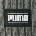 Téli sapka PUMA Ribbed Classic Cuff smoked pearl 5