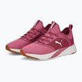 Női futócipő PUMA Softride Ruby rózsaszín 377050 04 11
