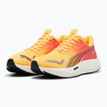 Férfi futócipő PUMA Velocity Nitro 3 Fade sun stream/sunset glow/fehér 8