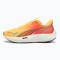 Férfi futócipő PUMA Velocity Nitro 3 Fade sun stream/sunset glow/fehér 10