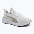 PUMA Softride Carson futócipő puma fehér/sivatagi por