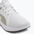 PUMA Softride Carson futócipő puma fehér/sivatagi por 7