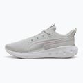 PUMA Softride Carson cool világosszürke/rózsaszín lila/puma ezüst futócipő