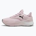 Női futócipő PUMA Softride Mayve rose mauve/puma fekete/sun struck