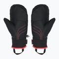 Gyerek síkesztyű ZIENER Luron Aquashield PR Mitten multicolor 2