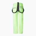 Férfi sínadrág BOGNER FIRE+ICE Scott 3 vibrant lime 2