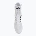 Bokszcipő adidas Box Hog II white/black 5