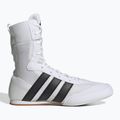 Boxcipő adidas Box Hog Classic white 2