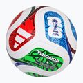 Focilabda adidas Trionda World Cup 26 Training multicolor 2