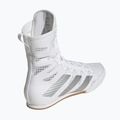 Boxcipő adidas Box Hog 4 white/silver 2