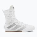 Boxcipő adidas Box Hog 4 white/silver 2