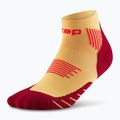 CEP férfi kompressziós zokni Run Low Cut 5.0 marigold/burgundy 2