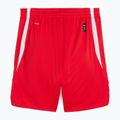 Férfi kosárlabda rövidnadrág PUMA teamJAWS Starter for all time piros 2