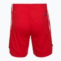 Férfi kosárlabda rövidnadrág PUMA teamJAWS Starter for all time piros 2