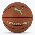 PUMA teamJAWS Court Pro kosárlabda bőr barna/sötét árnyék 7-es méret