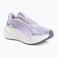 Futócipők Puma Maxima Pro light lavender/plum purple