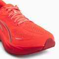 Férfi futócipők Puma Velocity Nitro 5 ultra red/red rhythm 7