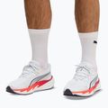 Férfi futócipők Puma Velocity Nitro 5 puma white/ultra red 7