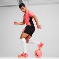 focicipő  PUMA Future 7 Ultimate FG/AG sunset glow/puma black/sun stream 15