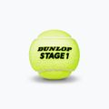 Dunlop Stage 1 gyermek teniszlabdák 3 db zöld 601338 3
