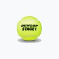 Dunlop Stage 1 gyermek teniszlabda 60 db zöld 601342 2