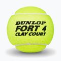 Dunlop Fort Clay Court 4B 2025 teniszlabda 3