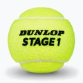 Teniszlabdák Dunlop Stage 1 3 pack green 3