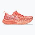 ASICS Noosa Tri 16 papaya/mojave női futócipő 8