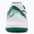 Férfi teniszcipő Asics Gel-Dedicate 8 fehér/közepes 6