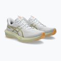 ASICS GT-1000 14 férfi futócipő fehér/citromfű 10