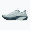 ASICS GT-1000 14 TR férfi futócipő természetfürdő/lichen rock 9