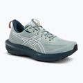 ASICS GT-1000 14 TR férfi futócipő természetfürdő/lichen rock
