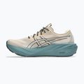 Férfi futócipő ASICS Gt-2000 15 TR simply taupe/foggy teal 10