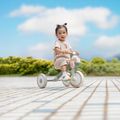 Háromkerekű futóbicikli Globber Learning Trike 2w1 Plus Ecologic pistachio 11