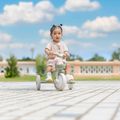 Háromkerekű futóbicikli Globber Learning Trike 2w1 Plus Ecologic pistachio 13