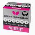 Butterfly 120 szt. white asztalitenisz labdák 120 db 2