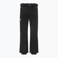 Férfi sínadrág Descente Swiss Slim black