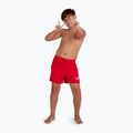 Speedo Essential 13" gyermek úszónadrág piros színben 3