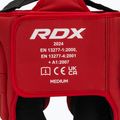 Box fejvédő RDX Head Guard Aura Plus T-17 red 5