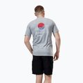 férfi póló Berghaus Snowdon SS Tee 2.0 grey marl bci 3