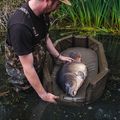 Fox International Carpmaster hegesztett pontyfogó szőnyeg 10