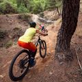 Női kerékpáros nadrág Endura Singletrack Lite Short Sht harvest 4