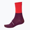 Kerékpáros zokni Endura Baa Baa Merino Winter pomegranate