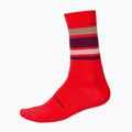 Kerékpáros zokni Endura BaaBaa Merino Stripe pomegranate