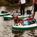 SUP deszka Red Paddle Co Voyager 12'6" zöld 17623 13